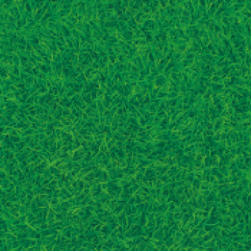 mt CASA sheet for floor (square) grass - Tapegarden